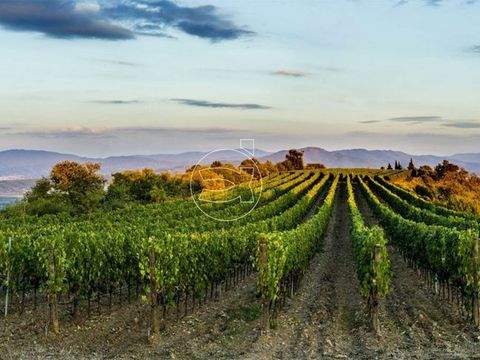 Civitella in Val di Chiana Häuser, Civitella in Val di Chiana Haus kaufen