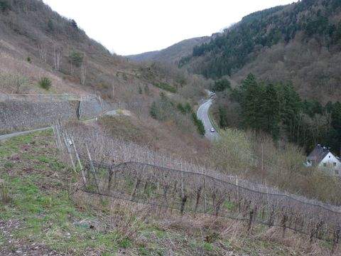 Zell (Mosel) Bauernhöfe, Landwirtschaft, Zell (Mosel) Forstwirtschaft
