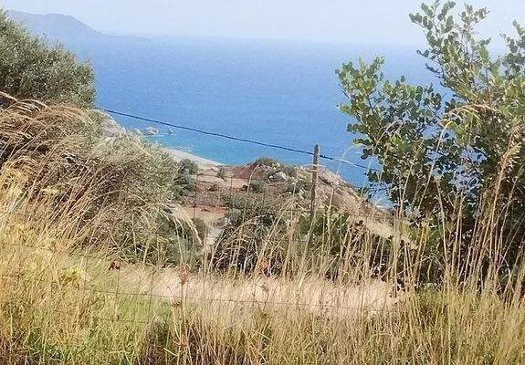 Kreta, Agia Paraskevi: Grundstück im Süden zum Verkauf