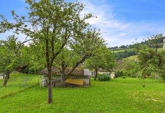 CAM04191G0-PR0040-STILL008