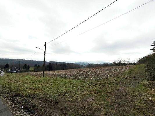 Grüne Umgebung direkt vor der Haustür