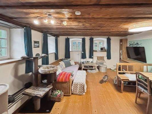 Wohnzimmer Wohnung 1