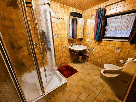 Badezimmer Kellergeschoss (Sauna)