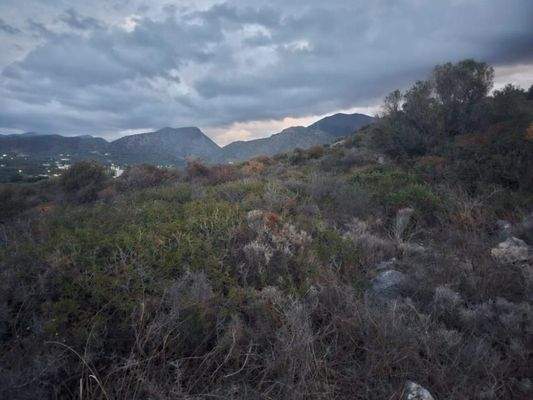 Kreta, Sisi: Gruppe benachbarter Grundstücke mit Meerblick zu verkaufen