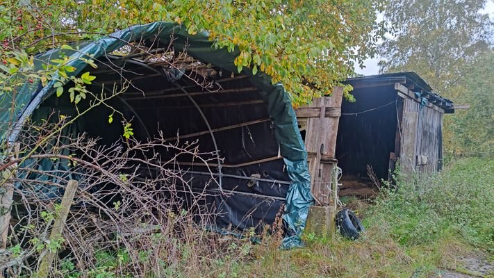 Bereich Pferdeunterstand.jpg