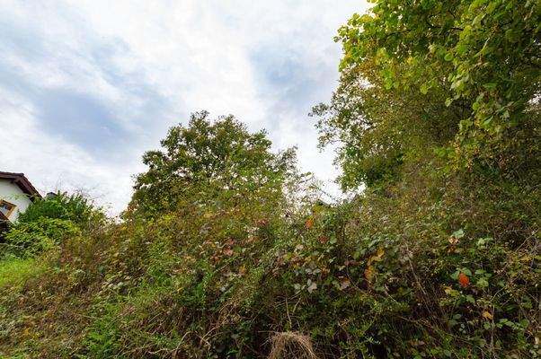 Impression Grundstück