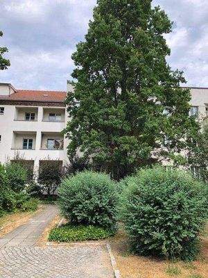 Hofbegrünung mit altem Baumbestand 