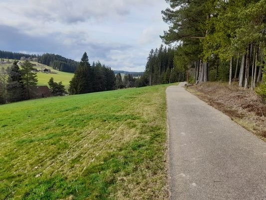 Blick Richtung St. Georgen