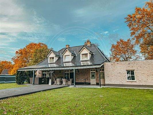 Eine rückwärtige Ansicht