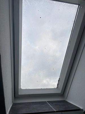 WhatsApp Image 2025-12-12 at 17.33.47