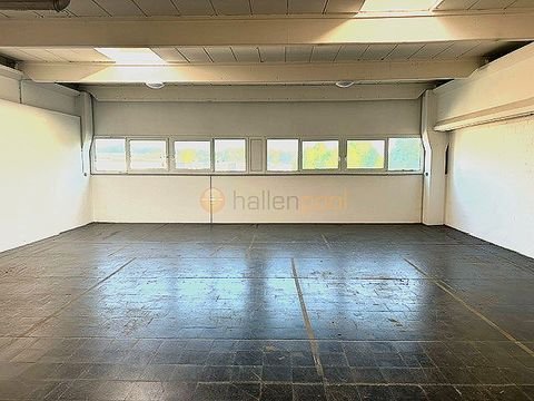 Lage Halle, Lage Hallenfläche