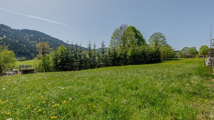 KITZIMMO-Baugrundstück in Toplage mit Kaiserblick kaufen - Immobilien Going.