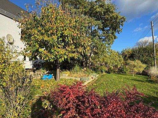 Garten mit viele Grün &quot;Goldener Herbst&quot;