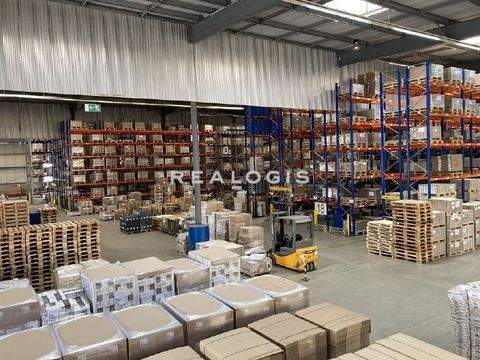 Bremen Halle, Bremen Hallenfläche