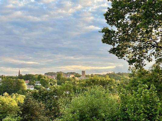Blick vom Kaminzimmer auf Burgthann