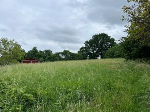 Falkenberg Grundstücke, Falkenberg Grundstück kaufen