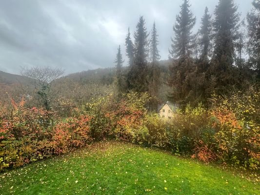 Blick von Balkon EG