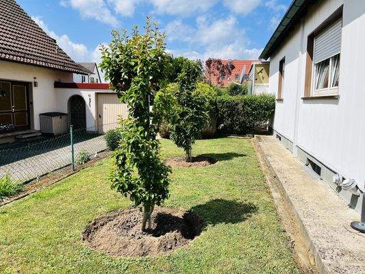 Gartenfläche auf der Südseite