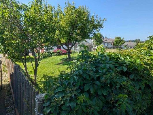 Garten m. Obstbäumen