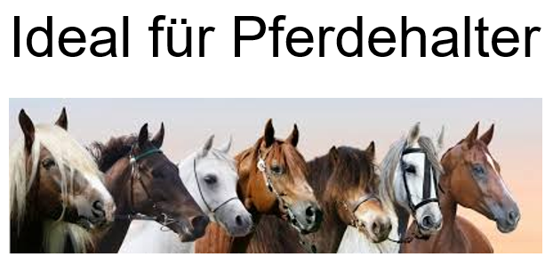 Screenshot 2026-03-29 204949.png