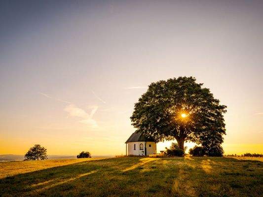 HERZOG1 - Weiden i. d. Oberpfalz