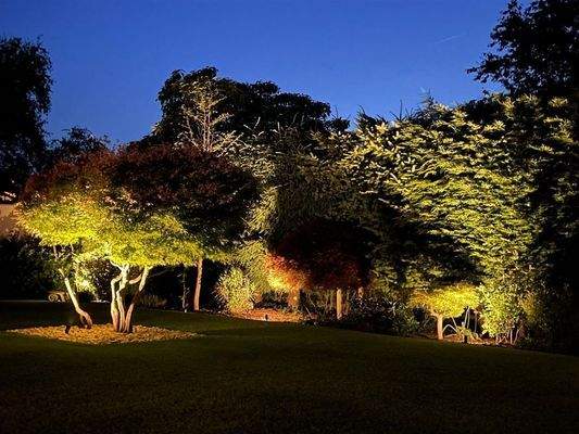 Garten - Nachtansicht