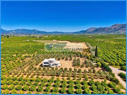 da5aac2300294e268fd2a67c129bcc9b-original