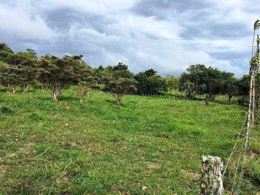 ImmoScout360 Land Costa Rica