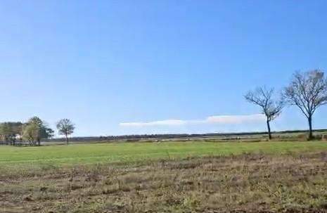 4c01513d-2bf6-40ab-8c3f-13b850c2c455-1956978072