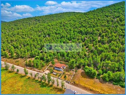 29dc35cb9b1042b18cc793bd6f68635e-original