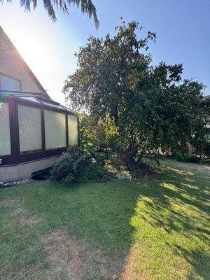 Garten und Wintergarten