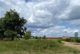 IMG_2494.jpeg