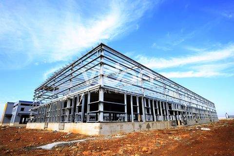 Titz Halle, Titz Hallenfläche