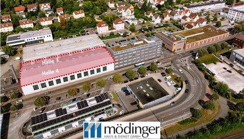 Göppingen Halle, Göppingen Hallenfläche