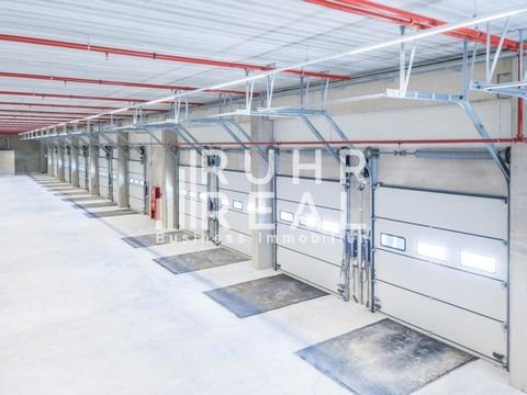 Emmerich Halle, Emmerich Hallenfläche