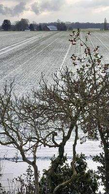 Ausblick vom Balkon 2