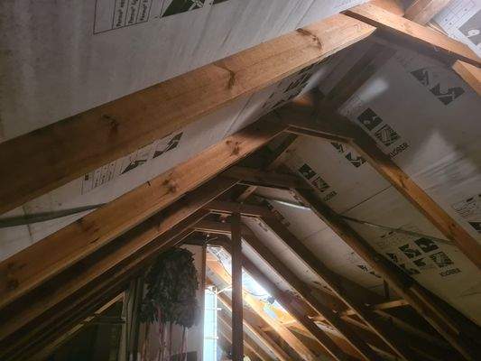 Wohnung OG -  Dachboden 1