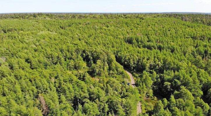 Cape Breton - Ideal für´s Kapital - Einzigartiges 