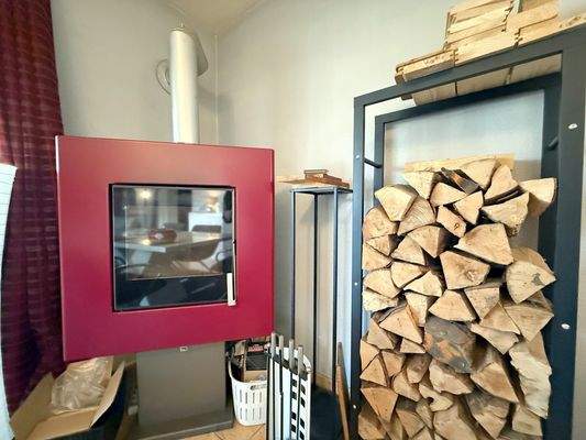 24327 LooseImmo Kamin