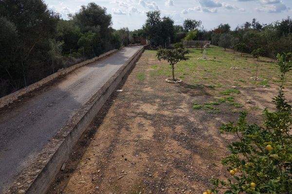 Großzügiger Garten