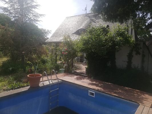 Swimmingpool im Garten