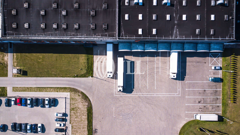 Köln Halle, Köln Hallenfläche