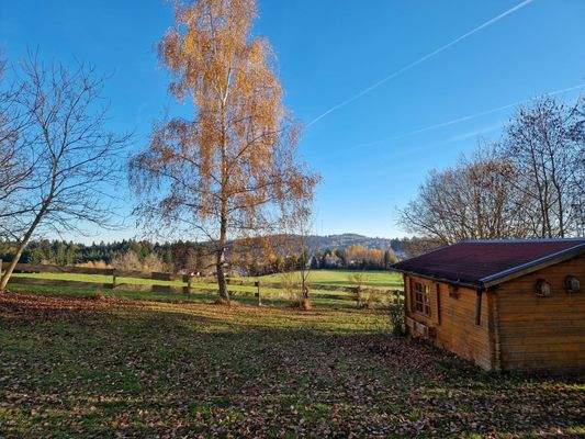 Blick in den Garten-2