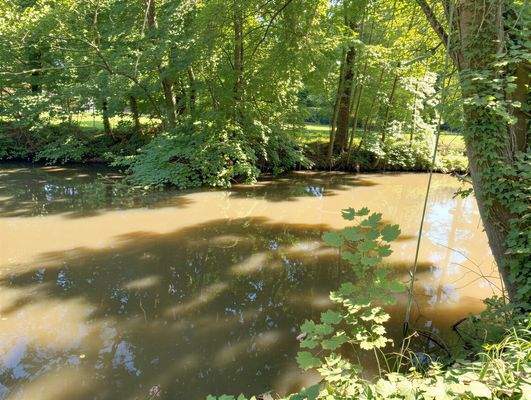 Blick auf die Illmenau 