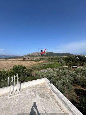 WhatsApp Image 2024-09-06 at 13.20.59 (35).jpeg