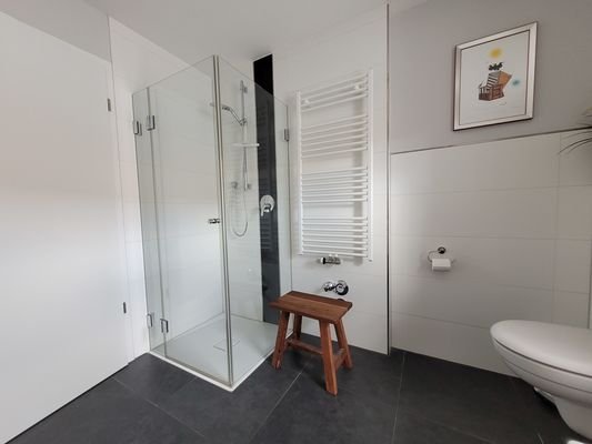 Dusche und Handtuchheizkörper