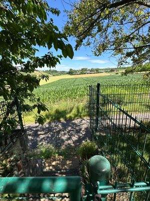 Gartentür zum Feld.jpg