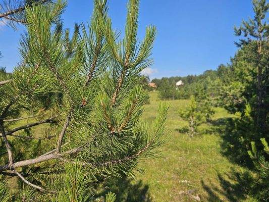 649d120e-76dc-4814-a2f3-070c10169e43