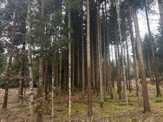 2026-02-12 13.46.03.jpg