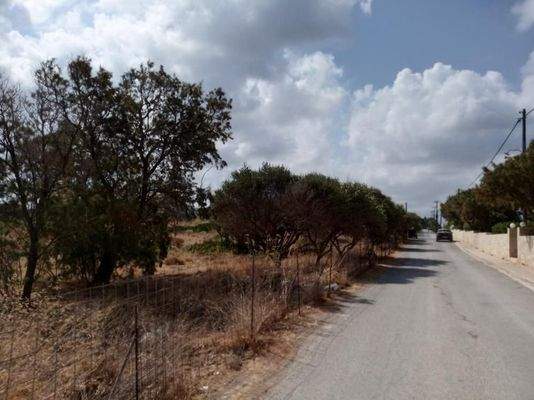 Ein wirklich erstaunliches Grundstück am Meer in Stavros, Chania